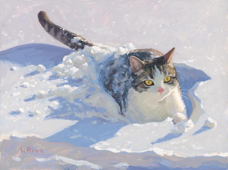 Cat in the snow